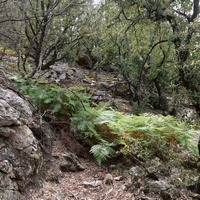 Photo de France - La randonnée des Gorges d'Héric